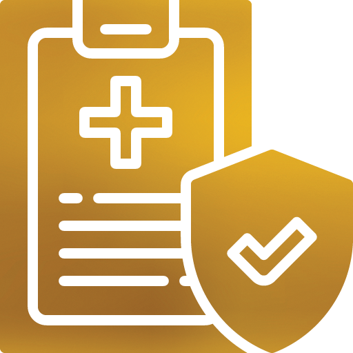 Health Insurance Icon